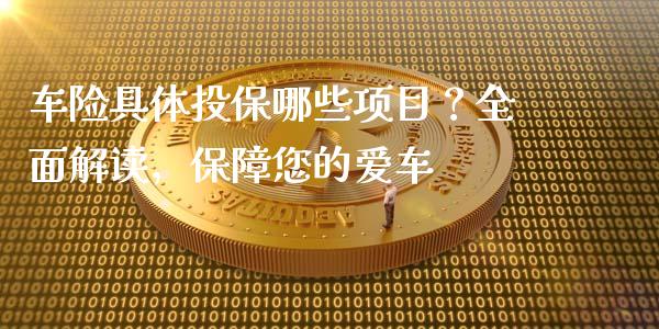 车险具体投保哪些项目?全面解读,保障您的爱车_财经新闻_第1张_期货开户_金融监管_外汇交易_债券资讯_全球市场_财经新闻 车险具体投保哪些项目?全面解读,保障您的爱车_https://cj006.lansai.wang_财经新闻_第1张