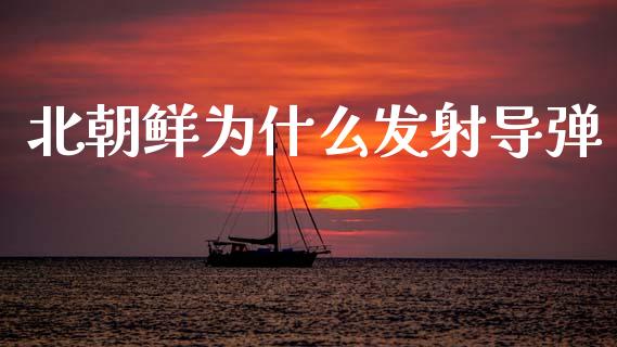 北朝鲜为什么发射导弹_https://cj006.lansai.wang_期货开户_第1张