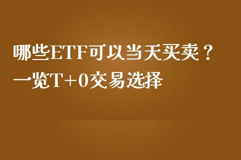 哪些ETF可以当天买卖？一览T+0交易选择_https://cj006.lansai.wang_金融监管_第1张