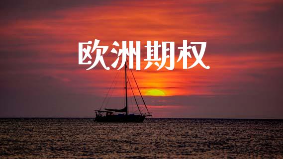 欧洲期权_https://cj006.lansai.wang_全球市场_第1张
