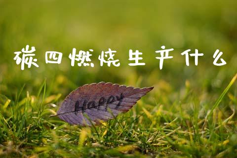碳四燃烧生产什么_https://cj006.lansai.wang_债券资讯_第1张