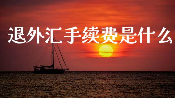 退外汇手续费是什么_https://cj006.lansai.wang_财经新闻_第1张