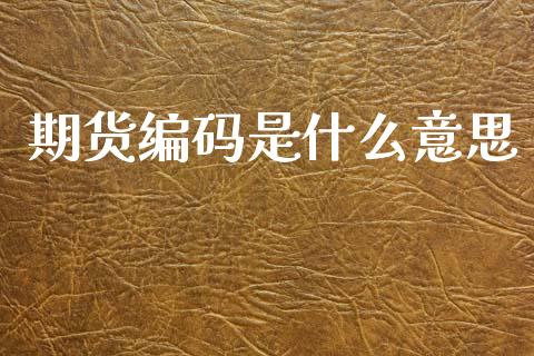 期货编码是什么意思_https://cj006.lansai.wang_财经新闻_第1张