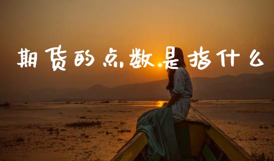 期货的点数是指什么_https://cj006.lansai.wang_外汇交易_第1张