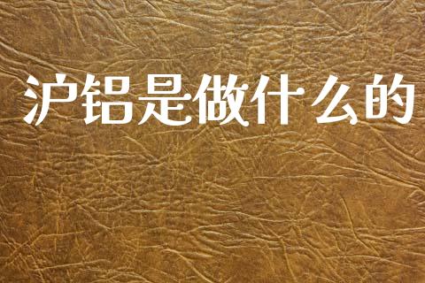 沪铝是做什么的_https://cj006.lansai.wang_外汇交易_第1张