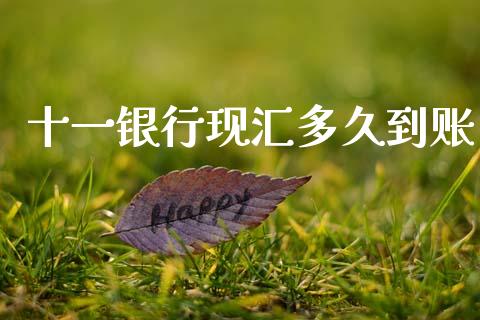 十一银行现汇多久到账_https://cj006.lansai.wang_外汇交易_第1张