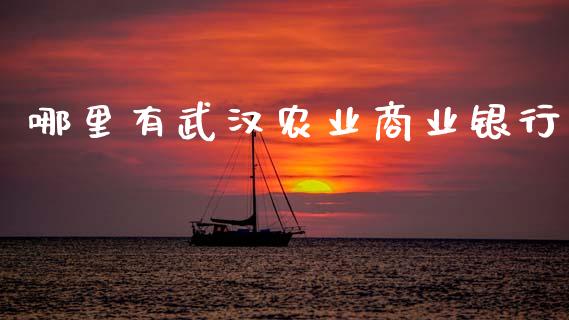 哪里有武汉农业商业银行_https://cj006.lansai.wang_全球市场_第1张