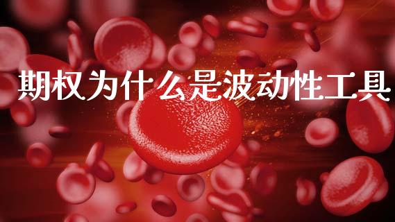 期权为什么是波动性工具_https://cj006.lansai.wang_债券资讯_第1张