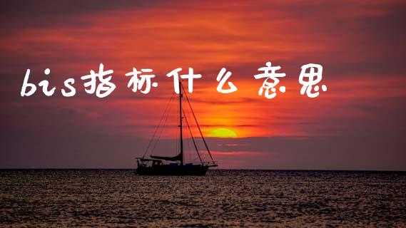 bis指标什么意思_https://cj006.lansai.wang_外汇交易_第1张
