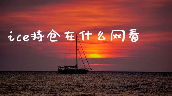 ice持仓在什么网看_https://cj006.lansai.wang_财经新闻_第1张