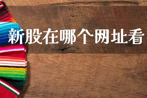 新股在哪个网址看_https://cj006.lansai.wang_财经新闻_第1张