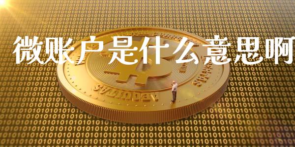 微账户是什么意思啊_https://cj006.lansai.wang_全球市场_第1张