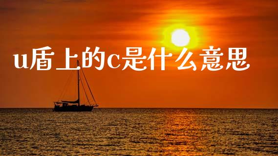 u盾上的c是什么意思_https://cj006.lansai.wang_金融监管_第1张