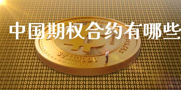 中国期权合约有哪些_https://cj006.lansai.wang_全球市场_第1张