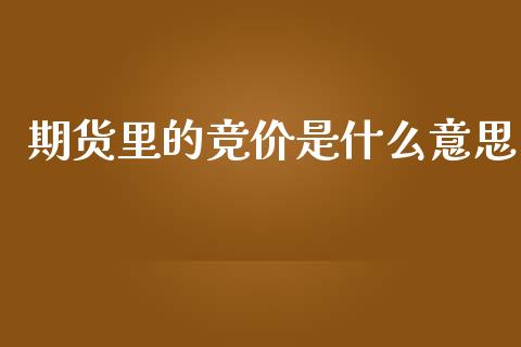 期货里的竞价是什么意思_https://cj006.lansai.wang_金融监管_第1张