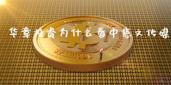 华章投资为什么看中慈文传媒_https://cj006.lansai.wang_债券资讯_第1张
