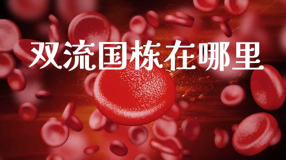 双流国栋在哪里_https://cj006.lansai.wang_财经新闻_第1张