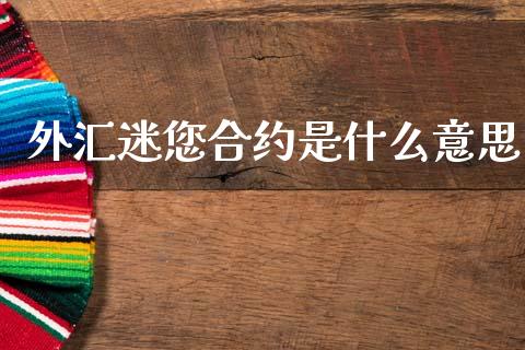 外汇迷您合约是什么意思_https://cj006.lansai.wang_债券资讯_第1张
