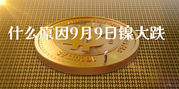 什么原因9月9日镍大跌_https://cj006.lansai.wang_期货开户_第1张