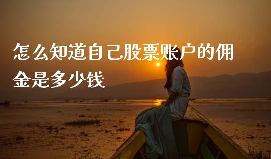 怎么知道自己股票账户的佣金是多少钱_https://cj006.lansai.wang_全球市场_第1张
