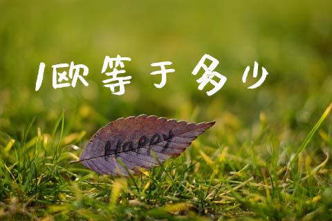 1欧等于多少_https://cj006.lansai.wang_期货开户_第1张