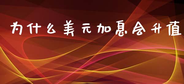 为什么美元加息会升值_https://cj006.lansai.wang_外汇交易_第1张
