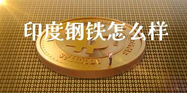 印度钢铁怎么样_https://cj006.lansai.wang_期货开户_第1张