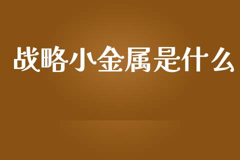 战略小金属是什么_https://cj006.lansai.wang_金融监管_第1张