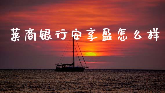 莱商银行安享盈怎么样_https://cj006.lansai.wang_财经新闻_第1张