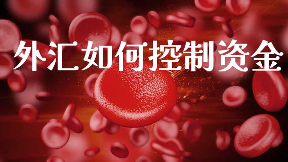 外汇如何控制资金_https://cj006.lansai.wang_全球市场_第1张