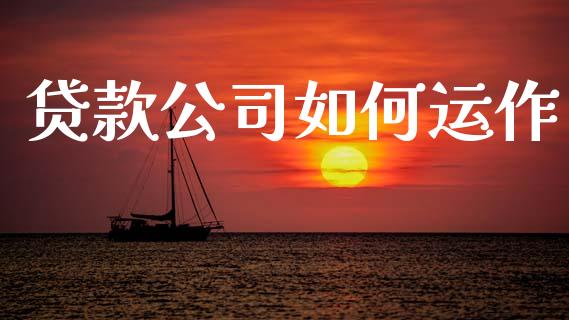 贷款公司如何运作_https://cj006.lansai.wang_财经新闻_第1张
