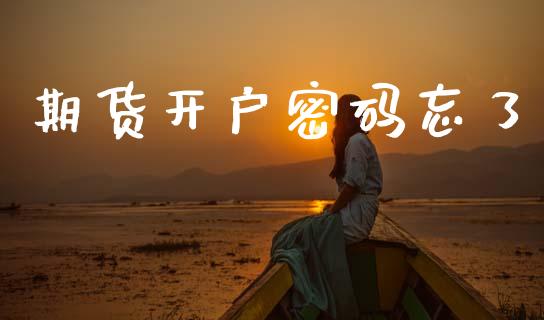 期货开户密码忘了_https://cj006.lansai.wang_期货开户_第1张