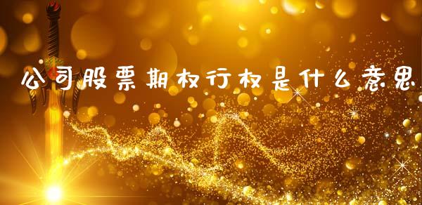 公司股票期权行权是什么意思_https://cj006.lansai.wang_全球市场_第1张