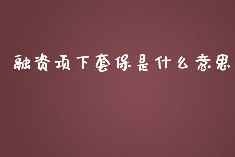融资项下套保是什么意思_https://cj006.lansai.wang_全球市场_第1张