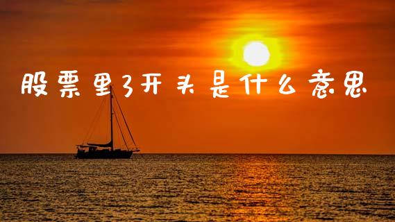 股票里3开头是什么意思_https://cj006.lansai.wang_债券资讯_第1张