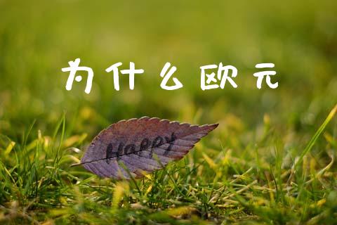 为什么欧元_https://cj006.lansai.wang_金融监管_第1张