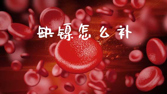 缺镍怎么补_https://cj006.lansai.wang_财经新闻_第1张