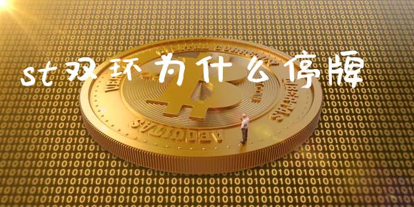 st双环为什么停牌_https://cj006.lansai.wang_债券资讯_第1张