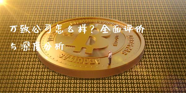 万致公司怎么样？全面评价与深度分析_https://cj006.lansai.wang_全球市场_第1张