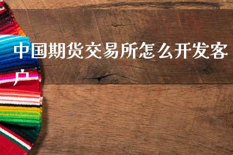 中国期货交易所怎么开发客户_https://cj006.lansai.wang_期货开户_第1张