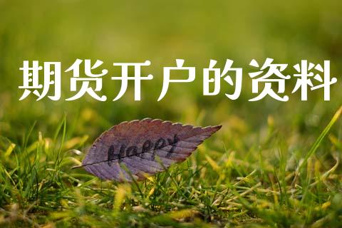 期货开户的资料_https://cj006.lansai.wang_期货开户_第1张