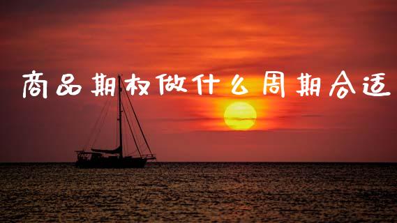 商品期权做什么周期合适_https://cj006.lansai.wang_债券资讯_第1张