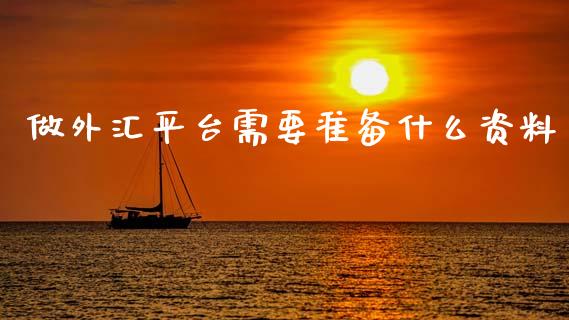 做外汇平台需要准备什么资料_https://cj006.lansai.wang_金融监管_第1张