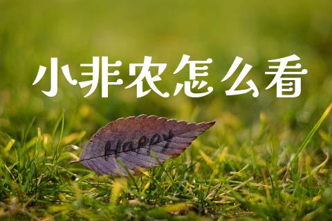 小非农怎么看_https://cj006.lansai.wang_金融监管_第1张