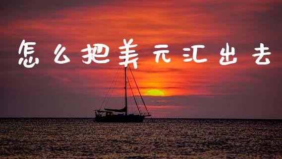 怎么把美元汇出去_https://cj006.lansai.wang_期货开户_第1张