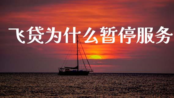飞贷为什么暂停服务_https://cj006.lansai.wang_外汇交易_第1张