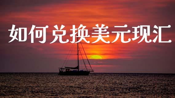 如何兑换美元现汇_https://cj006.lansai.wang_财经新闻_第1张