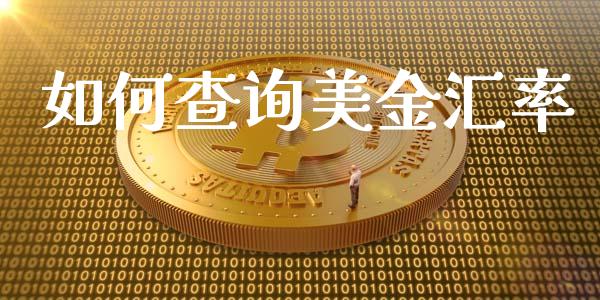 如何查询美金汇率_https://cj006.lansai.wang_期货开户_第1张