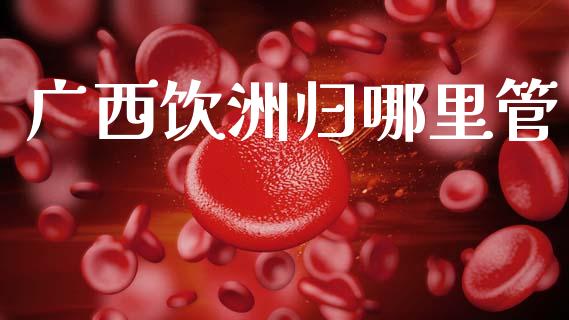 广西饮洲归哪里管_https://cj006.lansai.wang_金融监管_第1张