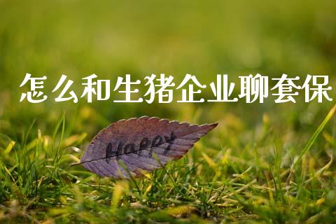 怎么和生猪企业聊套保_https://cj006.lansai.wang_金融监管_第1张